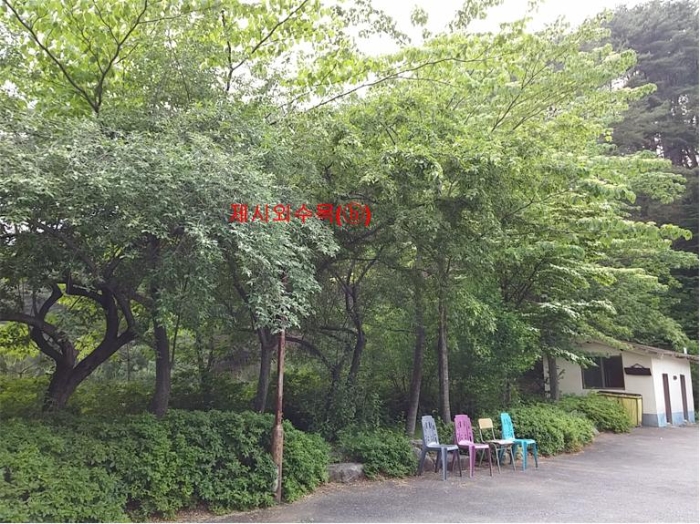 물건 사진 244