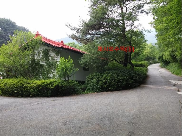 물건 사진 245