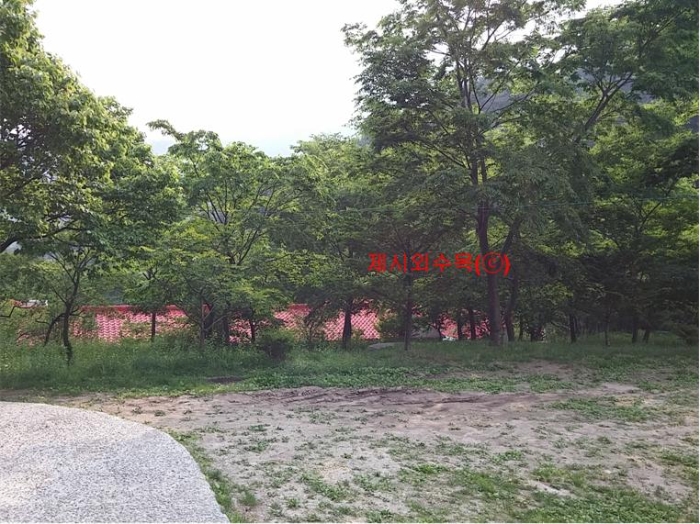 물건 사진 246