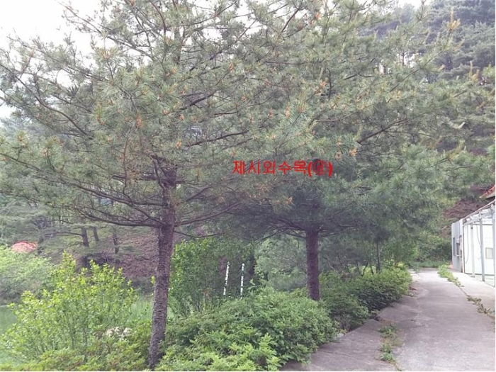 물건 사진 247