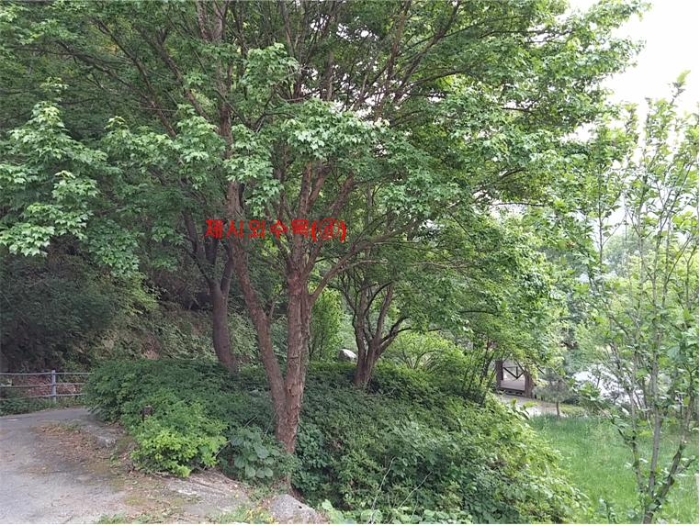 물건 사진 249