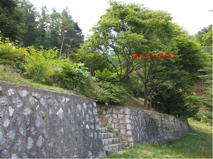 물건 사진 250