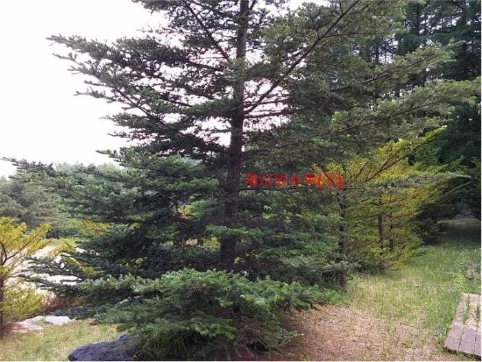 물건 사진 251