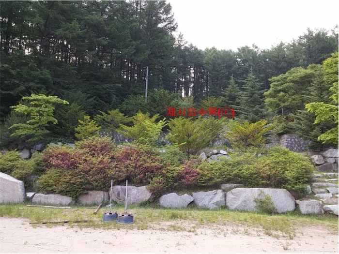 물건 사진 252