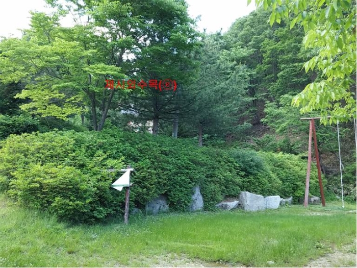 물건 사진 254