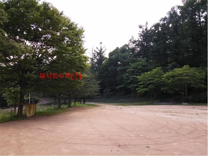 물건 사진 256