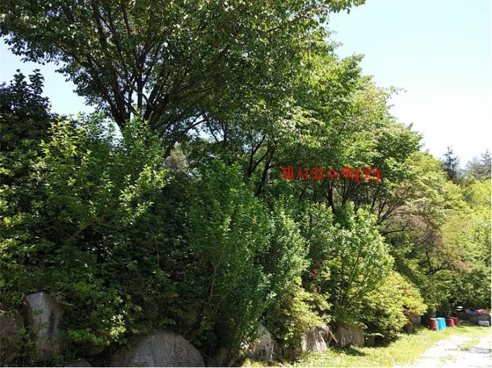 물건 사진 259
