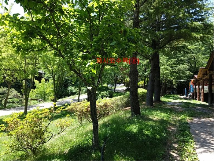 물건 사진 261