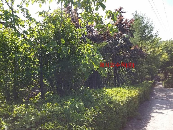 물건 사진 262