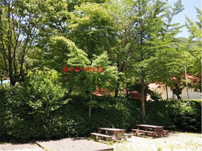 물건 사진 263