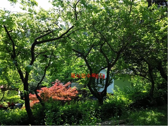 물건 사진 267