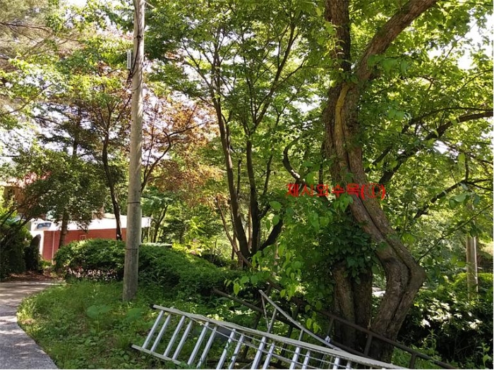물건 사진 268