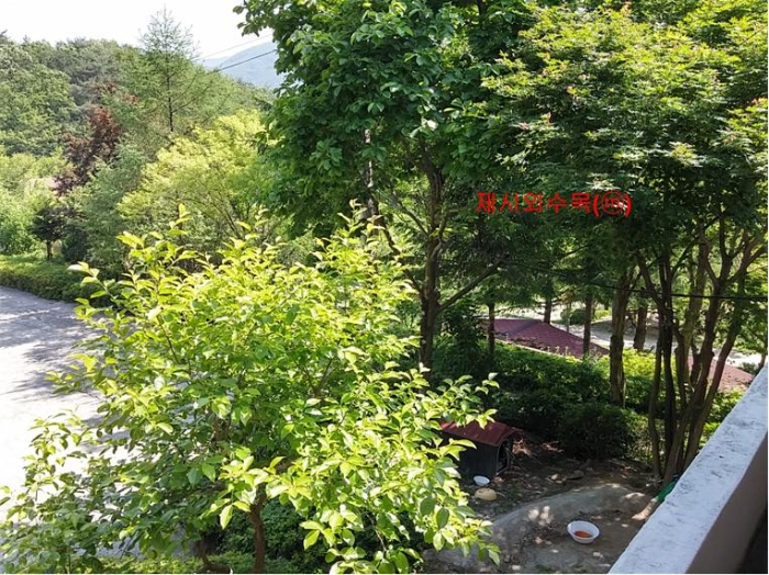 물건 사진 269
