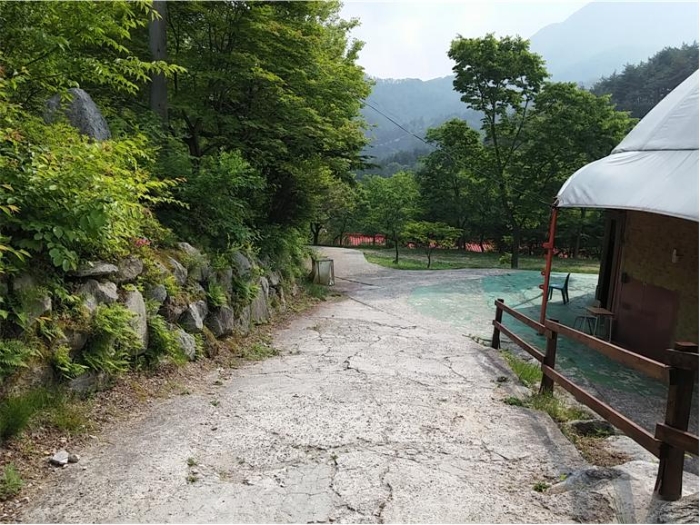 물건 사진 274