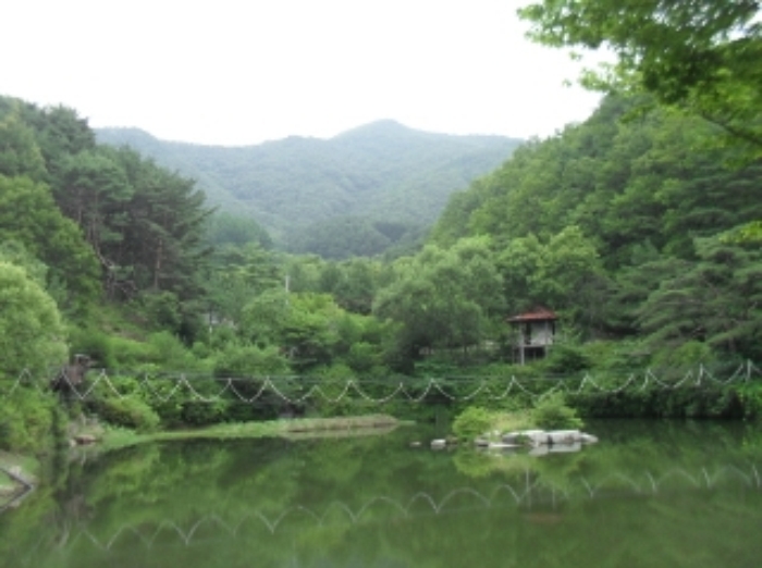 물건 사진 34