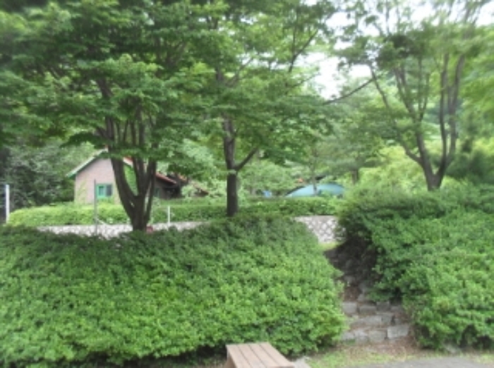 물건 사진 44
