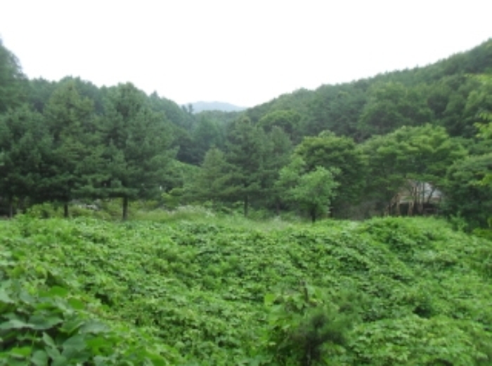 물건 사진 47