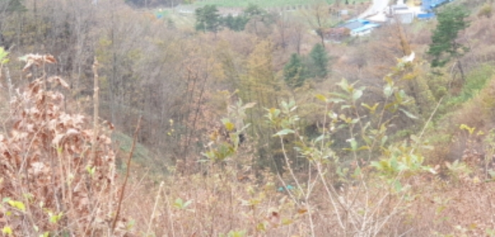 물건 사진 73