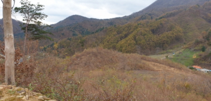 물건 사진 91