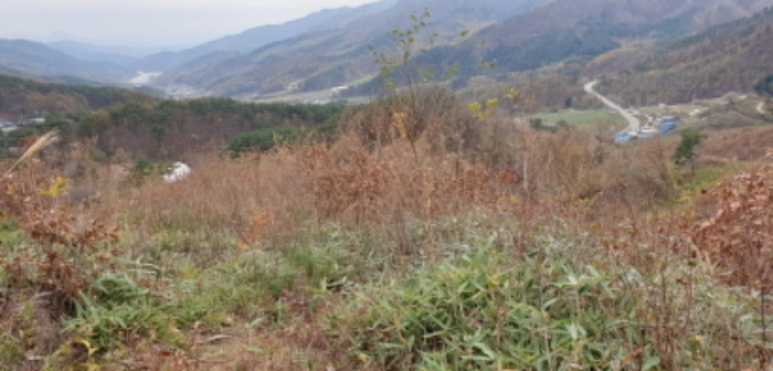 물건 사진 93