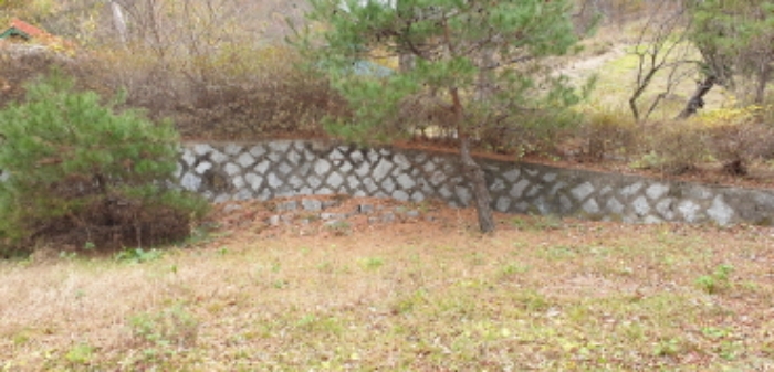 물건 사진 99