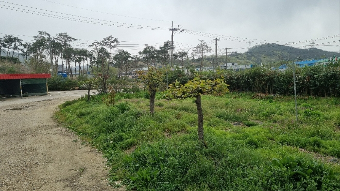 물건 사진 25