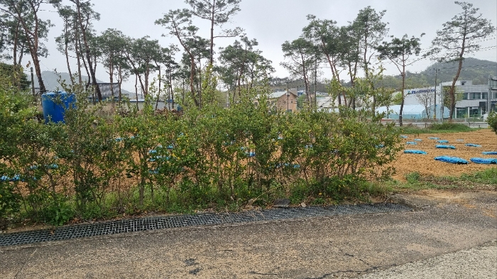 물건 사진 29