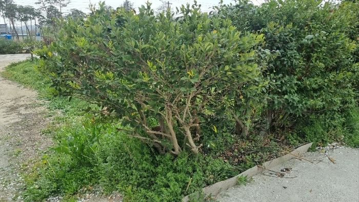 물건 사진 30