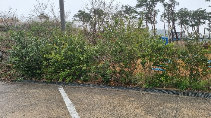 물건 사진 34