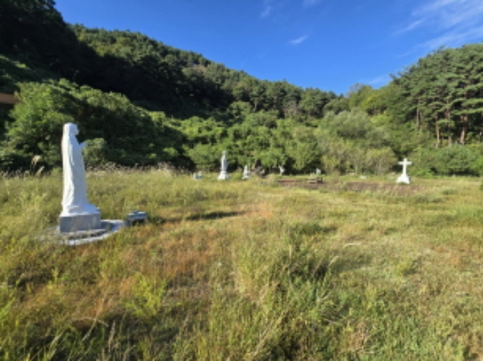 물건 사진 11