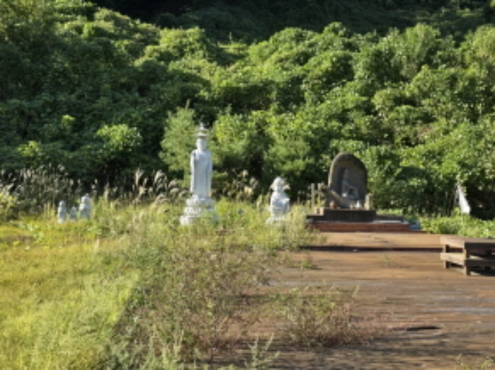 물건 사진 12