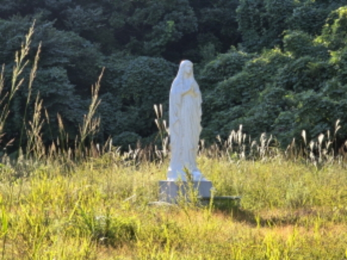 물건 사진 14