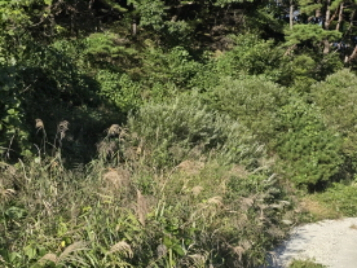 물건 사진 15