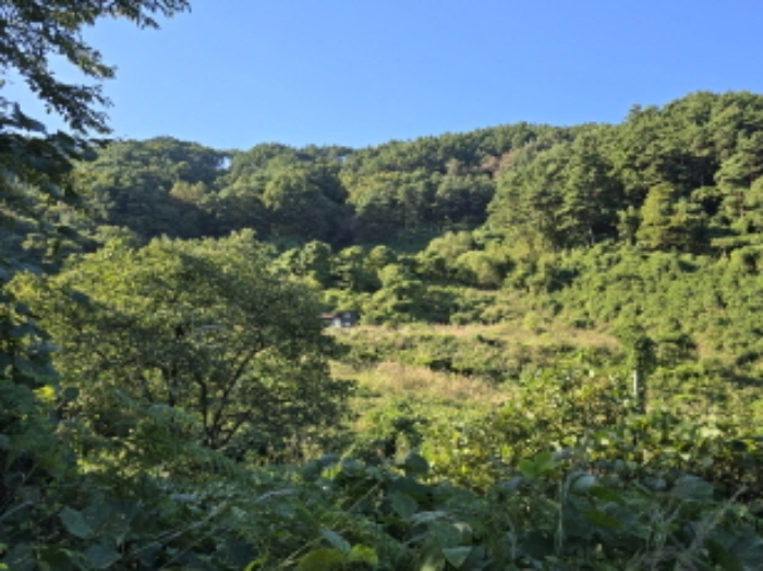 물건 사진 30