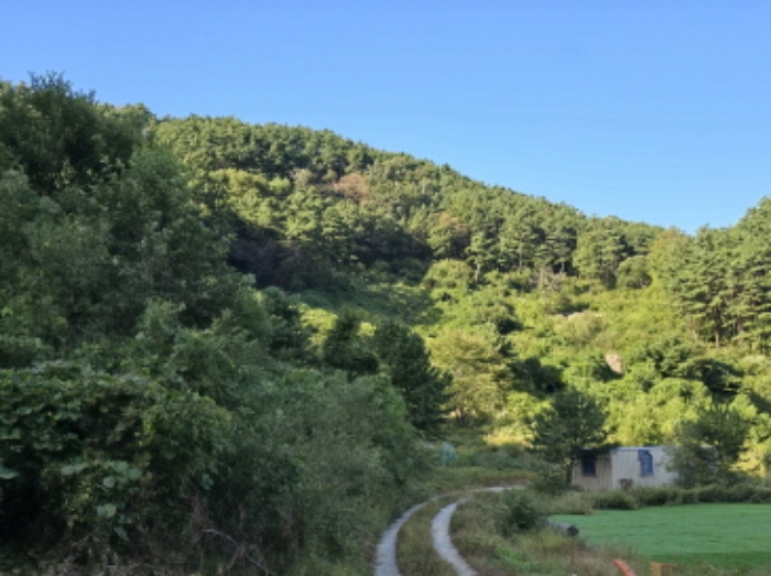물건 사진 31