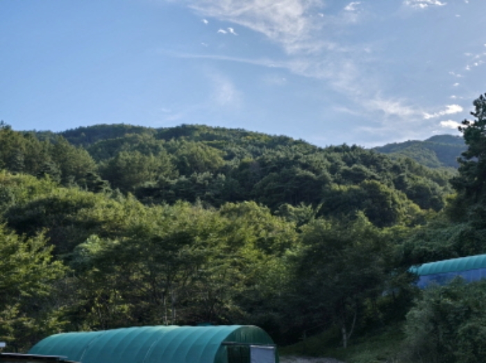 물건 사진 38