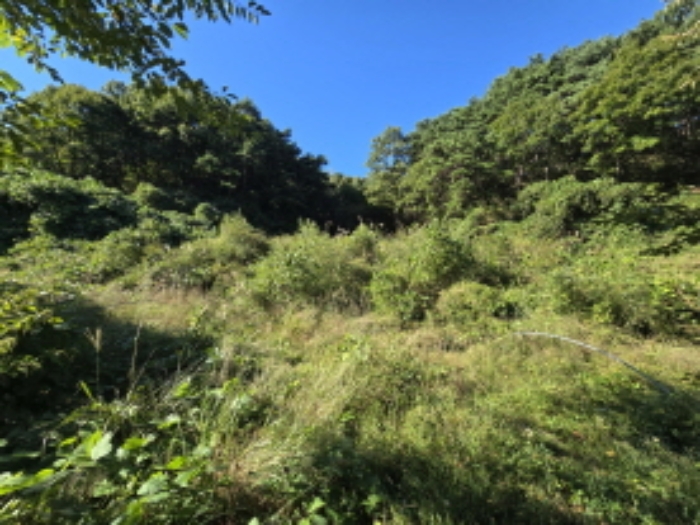 물건 사진 43
