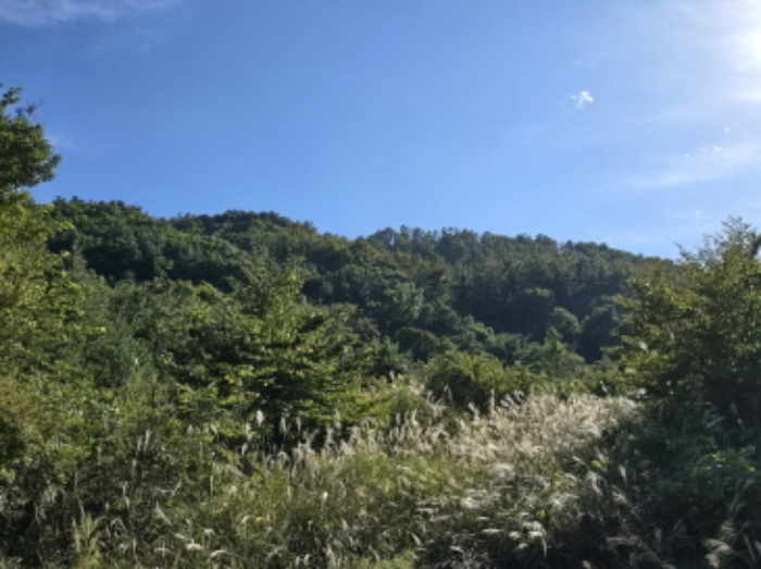 물건 사진 45