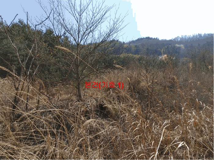 물건 사진 50