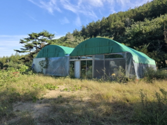 물건 사진 6