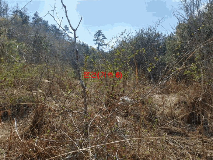 물건 사진 52