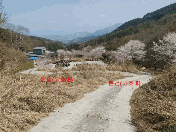 물건 사진 53