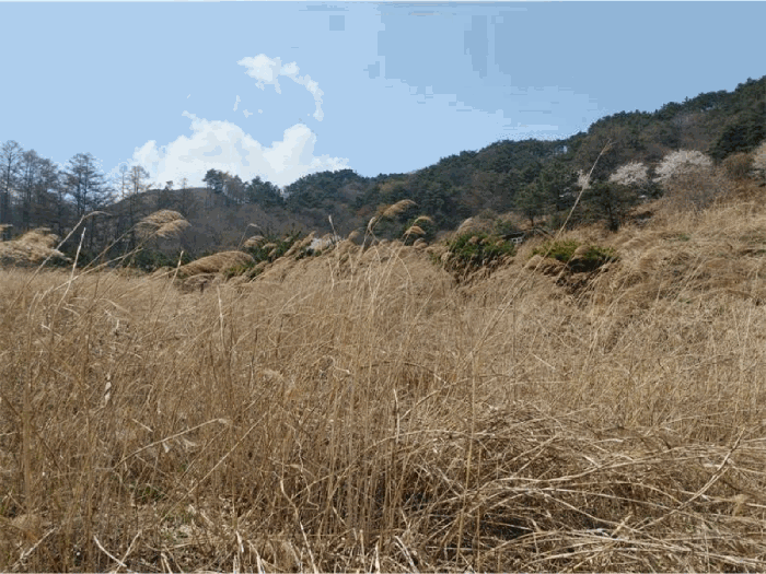 물건 사진 54