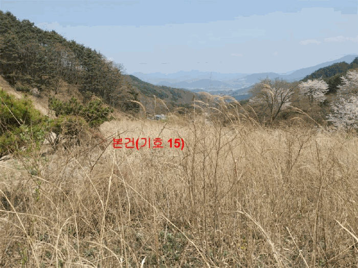 물건 사진 55
