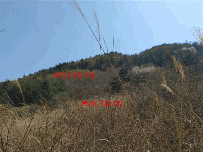 물건 사진 56