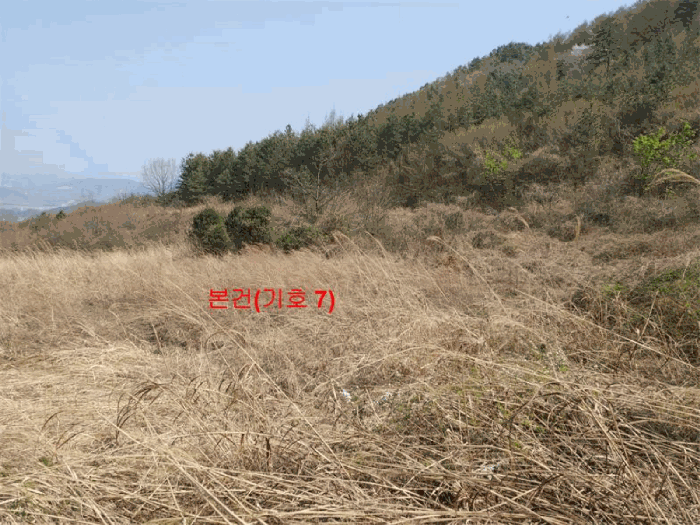 물건 사진 64