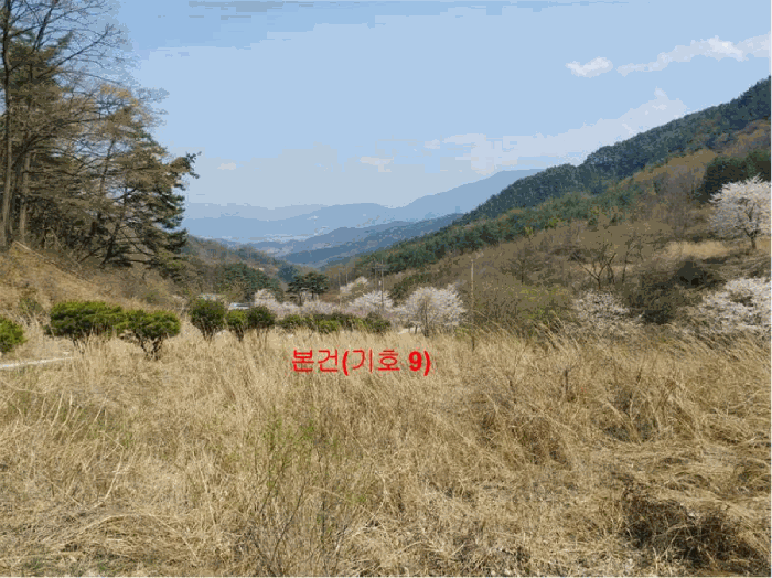 물건 사진 65