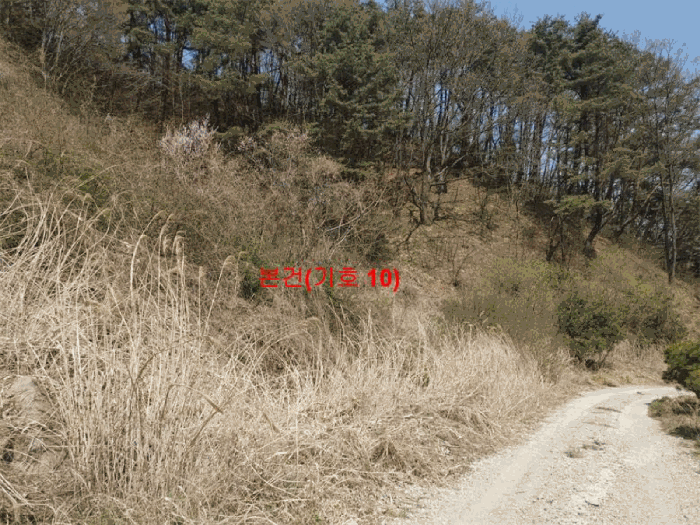 물건 사진 77