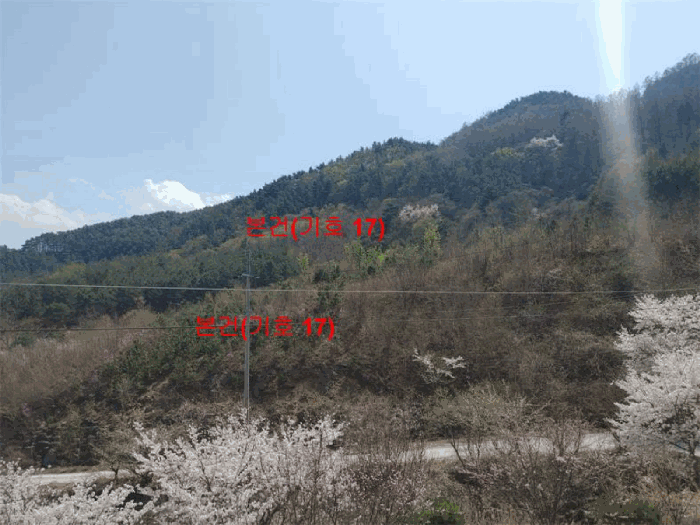 물건 사진 79