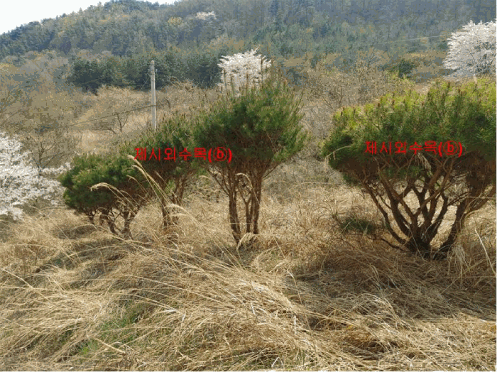 물건 사진 85
